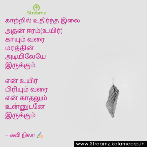 Love Quotes Tamil (50)