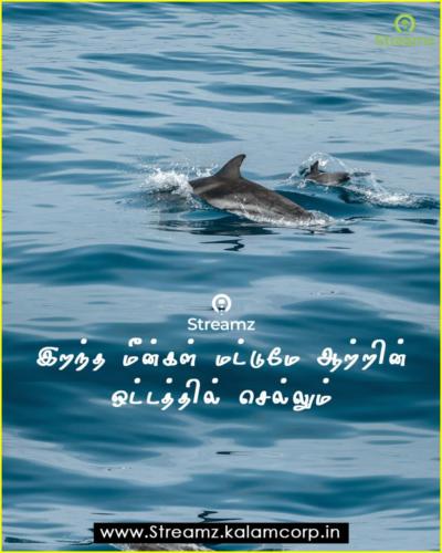 Motivational Tamil Quotes  (15)