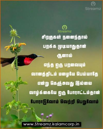 Motivational Tamil Quotes  (37)